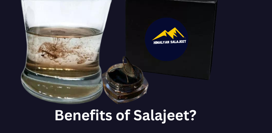 salajeet benefits